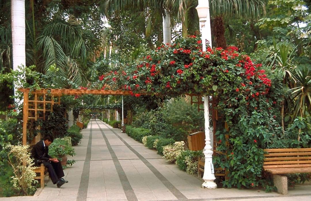 Day Tour To Aswan Botanical Garden The Tombs Of The Nobles And Sandboarding On Barbar Island